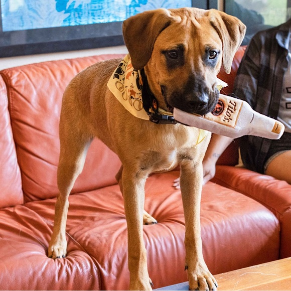 TITOS Dog Toy - Picture 5 of 7